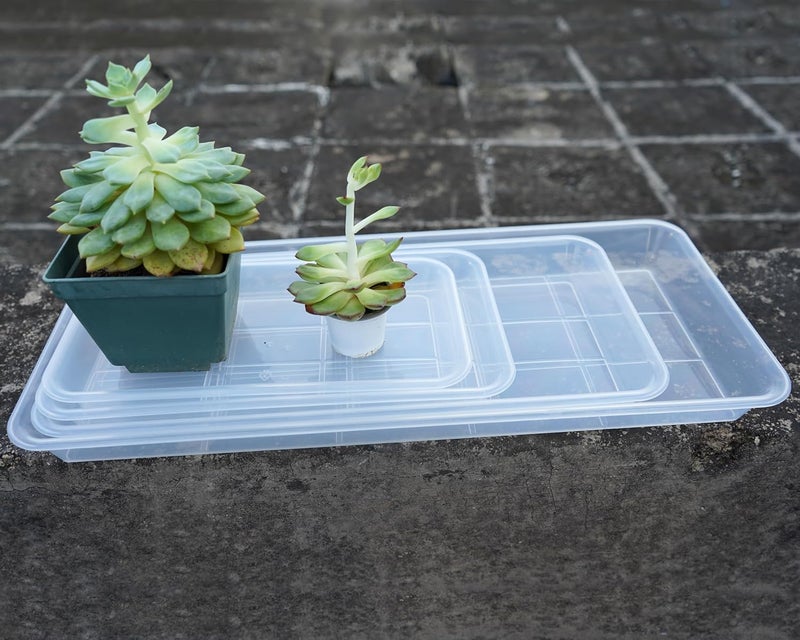 VUWEZ 2 Pack Plastic Plant Saucer, Rectangular, Indoors Outdoor, Water Drip Tray for Flower Pot, Windowsill (5.5 x 10 Inch, Clear) - Image 4